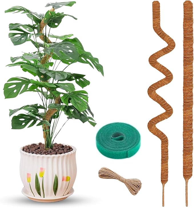 Auraville Bendable Moss Pole for Plants | 2 Pack 60 Inch Tall Moss Pole Monstera Plant Support | Large Poles for Climbing Plants | Handmade Plant Sticks Support Tall Potted Plants
