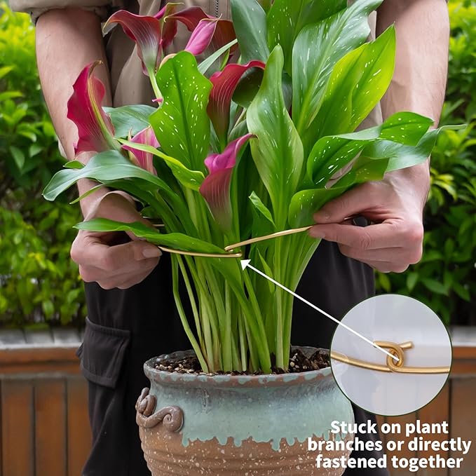 Goooxim 5PCS 11 * 9.4 Inch Monstera Plant Support Stem - Premium Adjustable Leaf Holder & Fishbone Cactus Stake, Durable Gardening Tool for Climbing Plants, Easy Installation & Enhanced Stability