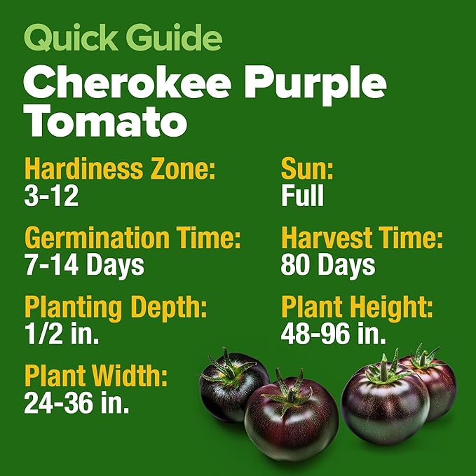 HOME GROWN Non GMO Cherokee Purple Tomato Seeds 1 Pack (Solanum lycopersicum) - 106 Seeds, Tomato for Planting - Heirloom Vegetable Seeds with High Germination Rate