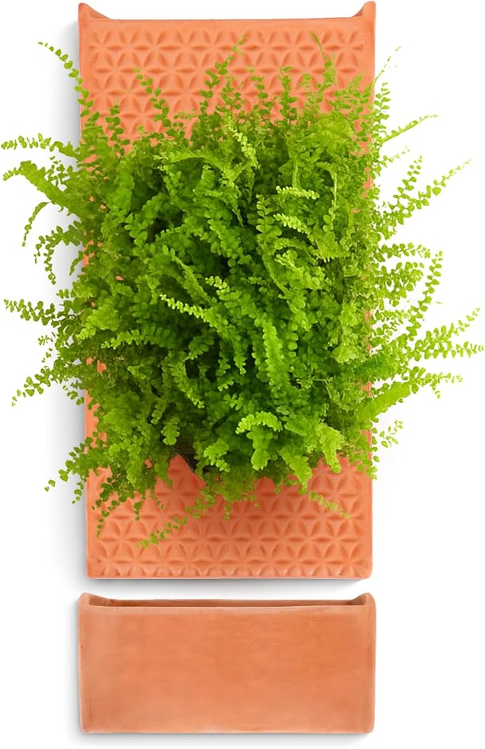 dadop Terracotta Self Watering Wall Pots for Indoor Plants, Hanging Planters for Indoor Plants Holder, Terra Cotta Pot Home Decor
