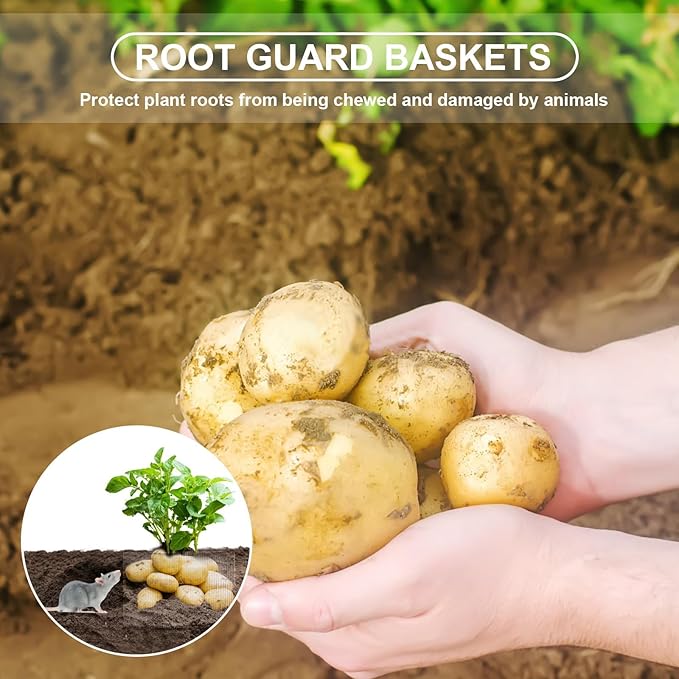 10 Pcs 5 Gallon Root Guard Baskets for Plants, Underground Stainless Steel Wire Mesh Cages Gopher and Vole Wire Basket Protect The Roots of Large Plants
