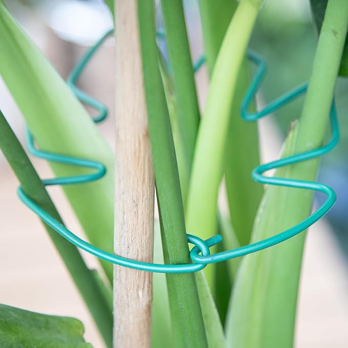 Monstera Plant Stem Support, 5-Pack Durable Indoor Stabilizer for Climbing Plants, 5.5x4.7 Inches Leaf Holder, for Plant Lovers, Enhance Your Indoor Garden