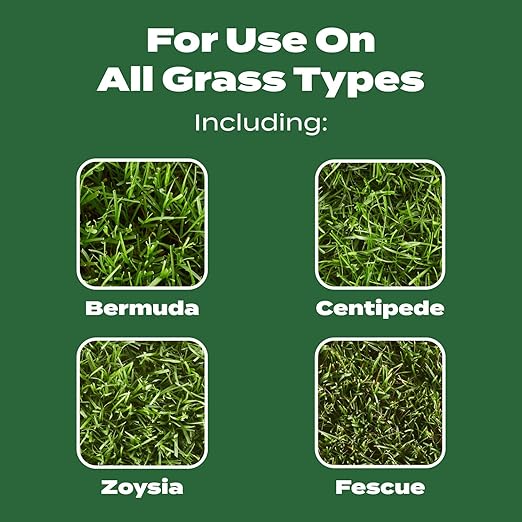 Scotts Turf Builder Lawn Food - Fertilizer for All Grass Types, 5,000 sq. ft., 12.5 lbs.
