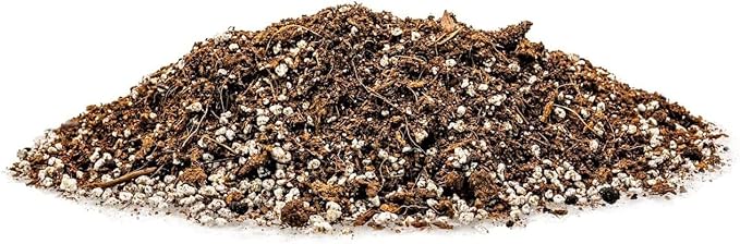Premium Spearmint Plant Soil Mix by Gardenera - Stimulate Growth and Enhance Aroma with Nourishing Formula - 5 Quart