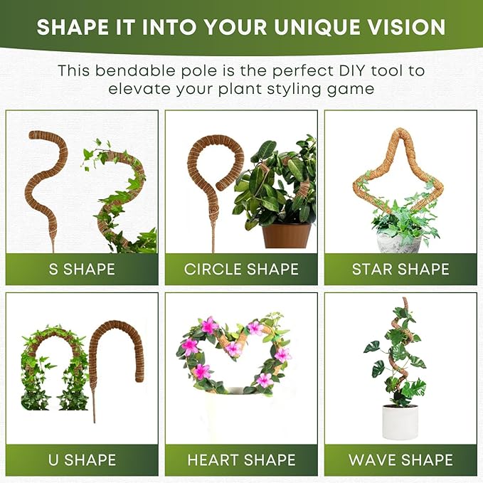 Auraville Moss Pole Monstera Plant Support | 60 Inch Plant Stakes for Indoor Plants | Coconut Palm Fiber Moss Poles for Climbing Plants | Handmade Plant Sticks Support Tall Monstera, Pothos & More