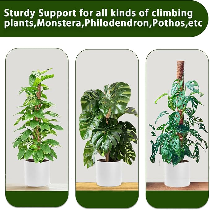 Moss Pole, 4 Pack 17Inch Monstera Plant Support for Climbing Plants Accessories Indoor -Stackable Moss Poles Plant Support Stakes -Coir Plant Pole Sticks for Potted Plants -Pothos, Tall Plant Trellis