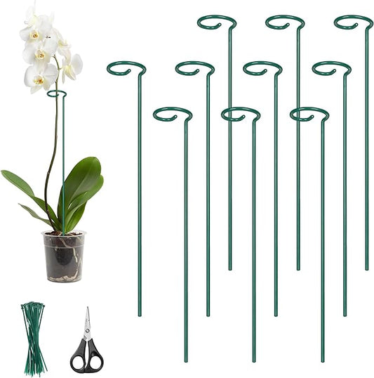 Kingsyard 24 Inch Plant Support Stake - 10 Pack, 4.5mm Thick All Metal Garden Plant Stakes Plant Prop for Single Stem Flowers Dahlia Amaryllis Orchid Lily Rose Peony Tomatoes Gladiolus