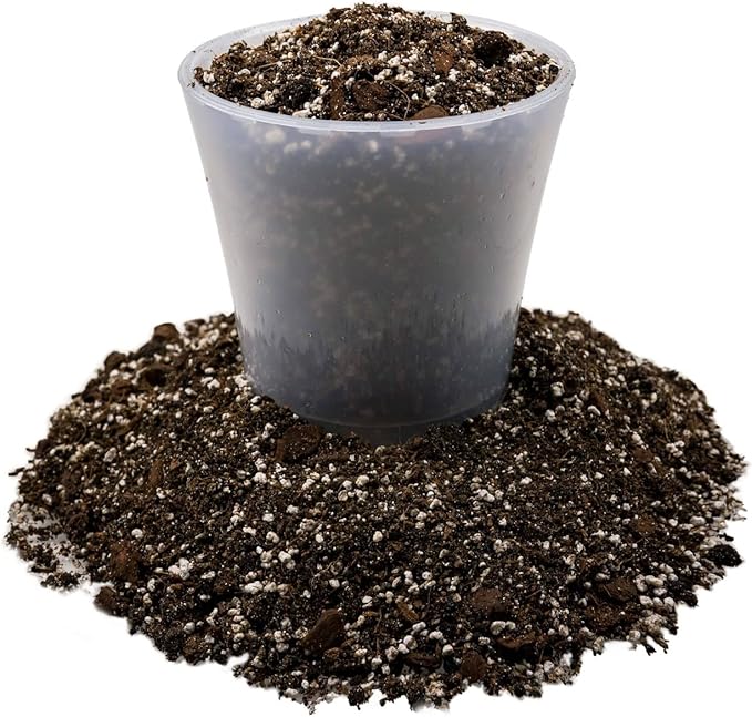 Gardenera Fiddle Leaf Fig House Plant Soil Premium All Purpose Blend - Peat Moss, New Zealand Bark, Coco Chips and Fibers, Perlite - 3 Quart Bag