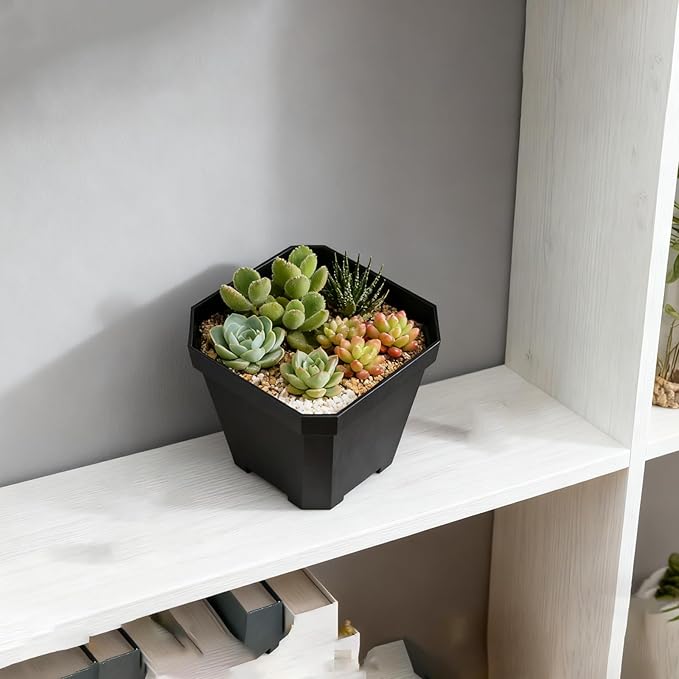 120 Pack 3 Inch Small Square Nursery Pot, Black Plant Pot with Drainage Holes, Seedling Planter Plastic Nursery Pots Bulk for Succulents Cuttings Transplanting