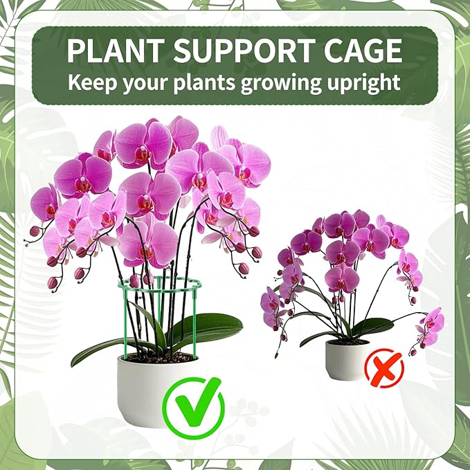 Moiggonoy 24 Pack Plant Support Stakes Sets - Versatile Plant Cages, Stackable Garden Flower Support， Small Plant Stakes for Indoor Plants,Tomato,Monstera, Peony, Hydrangea, Climbing Plants