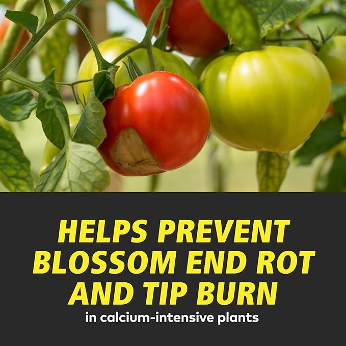 General Hydroponics CALiMAGic for Gardening, 1-Gallon