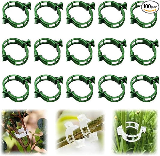 Secured Plastic Plant Clip, 2025 Upgrade Plant Support Clips Reusable Garden Clips, Garden Clips for Climbing Plants, Plastic Trellis Clips Tomato Grape Vine Vegetables Plant Fixing Clips (100, Green)
