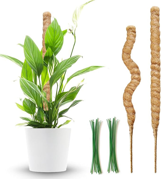 MUYG 2 Pack Moss Pole,27.6 Inch Moss Poles for Plants Monstera Bendable Plant Stakes for Indoor Coco Coir Pole Climbing Plant Support Stakes for Creeper Plants Grow Upwards