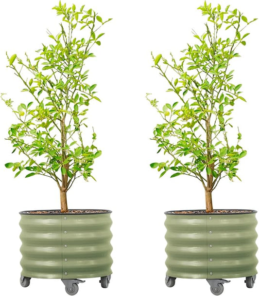 Rolling Metal Citrus Tree Planter Pot, 21″ Round Planter Box for Porch Patio & Backyard, 20 Gallon Large Planter Pot with Wheels for Growing Trees Tomatoes Vegetables and Flowers, 2 Pack Olive Green