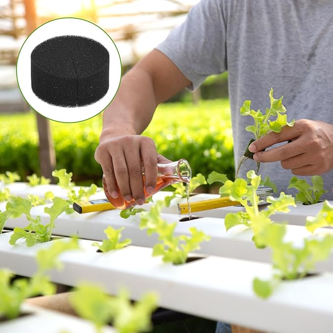 50-Pack Hydroponics Sponges, 2.36 Inch Growing Media Cylindrical Sponges for Planting Gardening Tool/Grow Seedlings/Home Vegetable Flower, Soilless Cultivation Seedling [Black]
