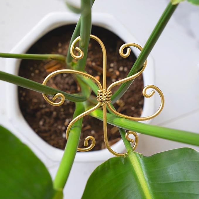 Goooxim 5PCS Plant Stem Support - Durable 5pcs Iron Grapple Holder for Monstera & Climbing Plants, Unique Design for Optimal Growth, Bamboo Clamp Set for Leaf Stabilization and Support (Gold)
