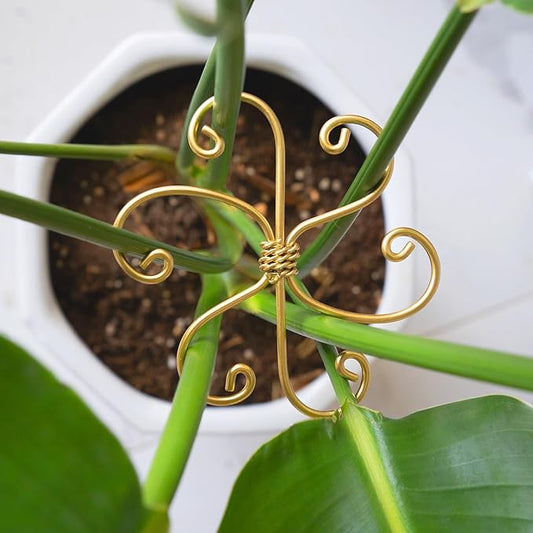 Goooxim 5PCS Plant Stem Support - Durable 5pcs Iron Grapple Holder for Monstera & Climbing Plants, Unique Design for Optimal Growth, Bamboo Clamp Set for Leaf Stabilization and Support (Gold)