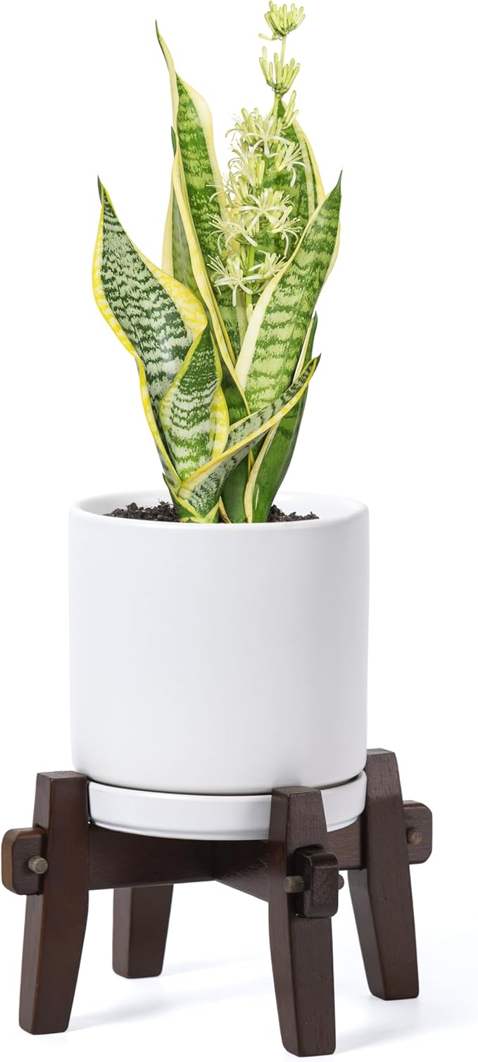 D'vine Dev Ceramic Planter with Wood Stand - 6 Inch Mid Century Modern Cylinder Plant Pot Set for Indoor Plants & Flowers, White, 55-A-Z-1