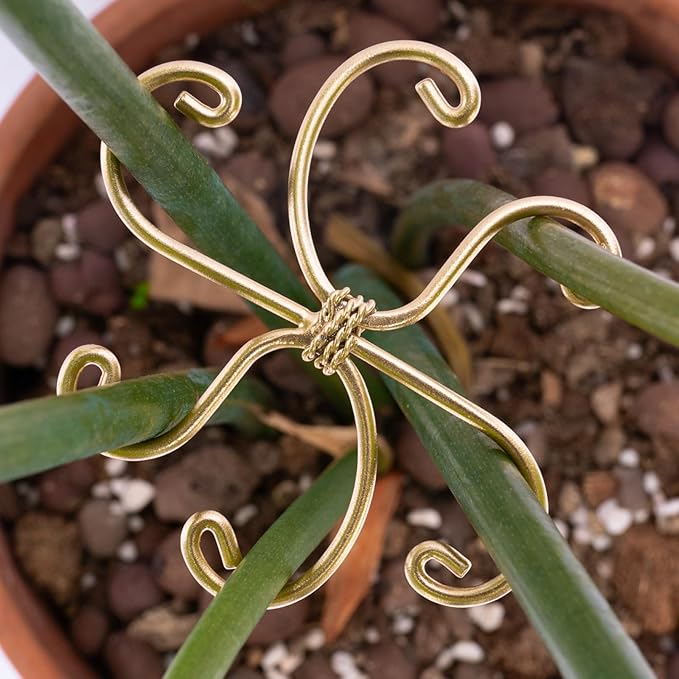 Goooxim 5Pcs Monstera Plant Stem Support Hook (2.75x2.75 inches) - Durable Metal Stem Support for Monstera & Fishbone Cactus, Easy Installation, Ideal Gift for Plant Lovers & Home Decor