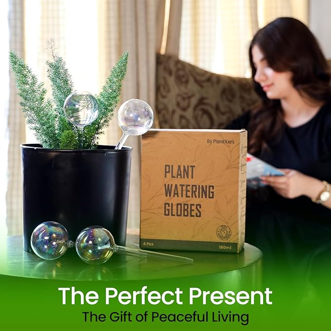 Iridescent Self Watering Globes, Glass Rainbow Plant Watering Globes, Self Watering Planter Insert, Automatic Plant Waterer Indoor (Medium-6 Pcs Iridescent, Medium)