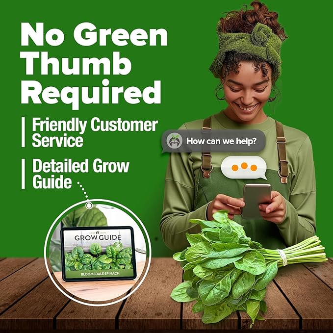 HOME GROWN Non GMO Bloomsdale Spinach Seeds Pack 353 Heirloom Seeds High Germination Spinach for Indoor, Outdoor, Hydroponic Planting & Home Gardens (Spinacia oleracea)