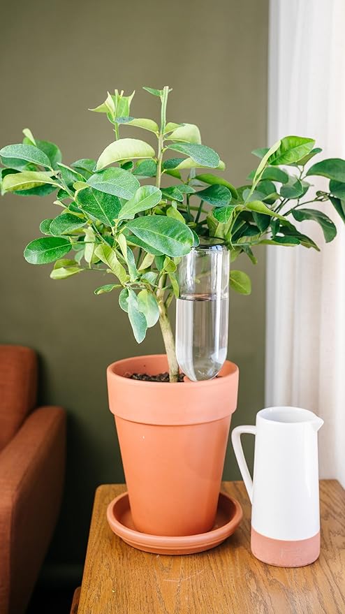 Oasis 6-Pack Terracotta Watering Spikes - Slow Release Self Watering Stakes, Plant Watering Devices for Wine Bottles, Container, Small Tree and Houseplant - Perfect for Busy Plant Parents