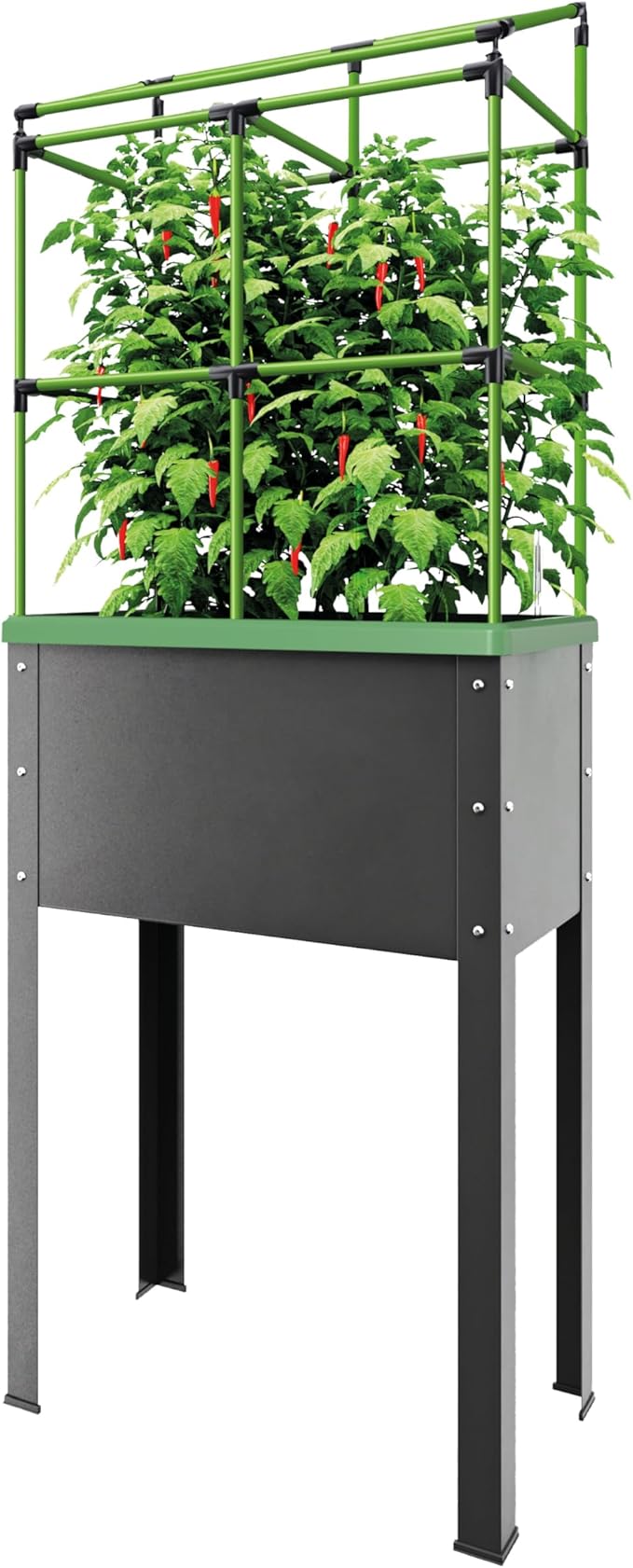 BioGreen Raised Garden Bed with Trellis Heidelberg | 11 gal | 1“L x 2.3“W x 7.6“H | Self-Watering Metal Planter Box | Ideal Growth for Climbing Plants