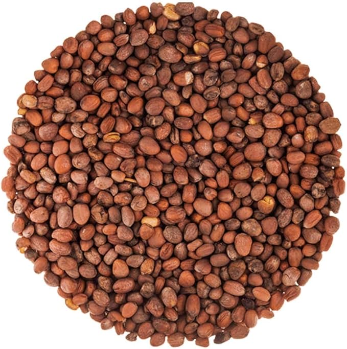 Food to Live - Organic Radish Seeds for Sprouting, 25 Pounds Non-GMO, Edible Seeds, Pure, Vegan, Kosher, Bulk. Spicy Flavor. Rich in Vitamin C. High Germitation Rate.
