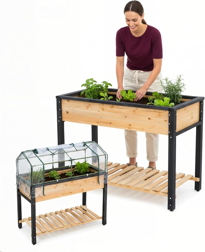 GOJ Raised Garden Bed Wood 48x24x32 inch with Greenhouse & Lockable Wheels - Elevated Wood Planter Box for Outdoors Vegetable Flower Bed Herb Planter - 400 lbs Capacity