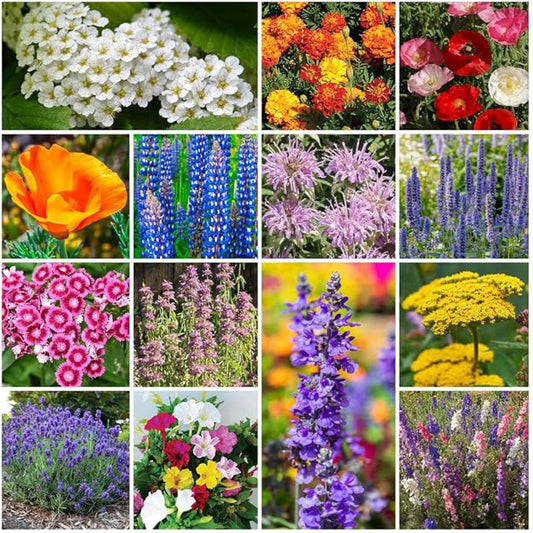 Park Seed Grow Your Own Vibrant Annual and Perennial Wildflower Garden Seed Mixture, Easy to Grow Varieties for Pollinators and Spring Gardens - Deer Resistant Mix, 1 lb