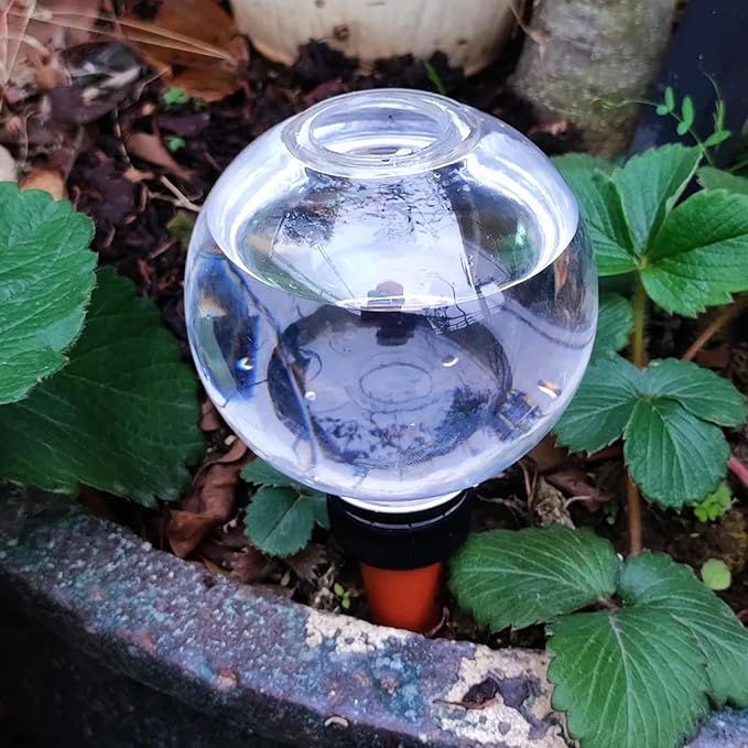 6Pcs Self Watering Globes Automatic Plant Waterer with Transparent Bulbs Plant Watering Device for Indoor Outdoor Potted Plants