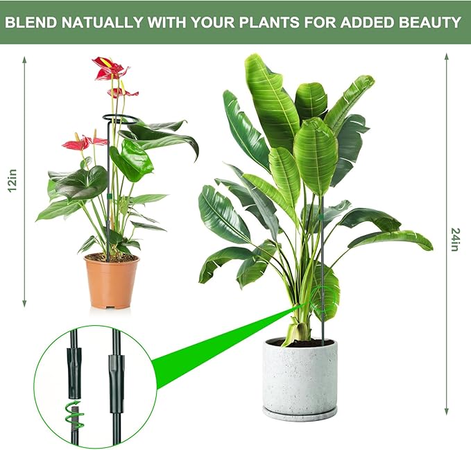 6 Packs Plant Support Sticks for Indoor Plants, Two Sizes (12 or 24 Inches) Orchid Stick and Clip, 0.18 inch Thicker Support Stake with Plant Ties and 12 Pcs Plant Clips for Flowers