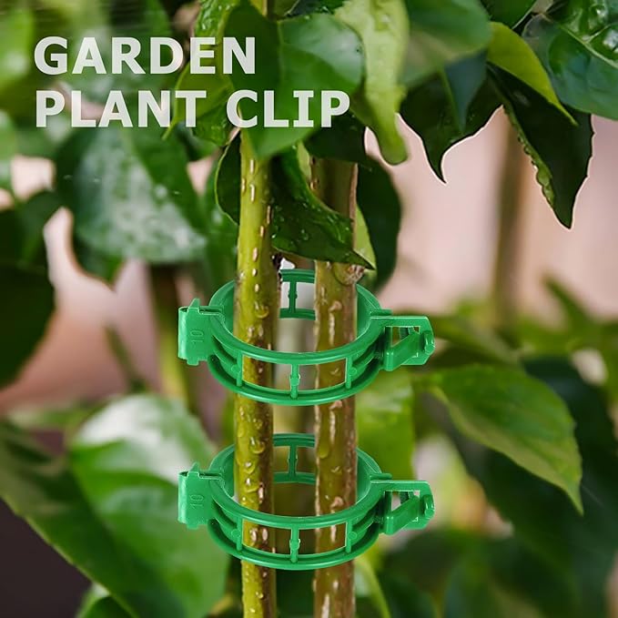 100PCS Green Plant Support Clips, Tomato Clips, Garden Clips, Trellis Clips, Vine Clips for Climbing Plants to Prevent Tomatoes from Pinching or Falling Off