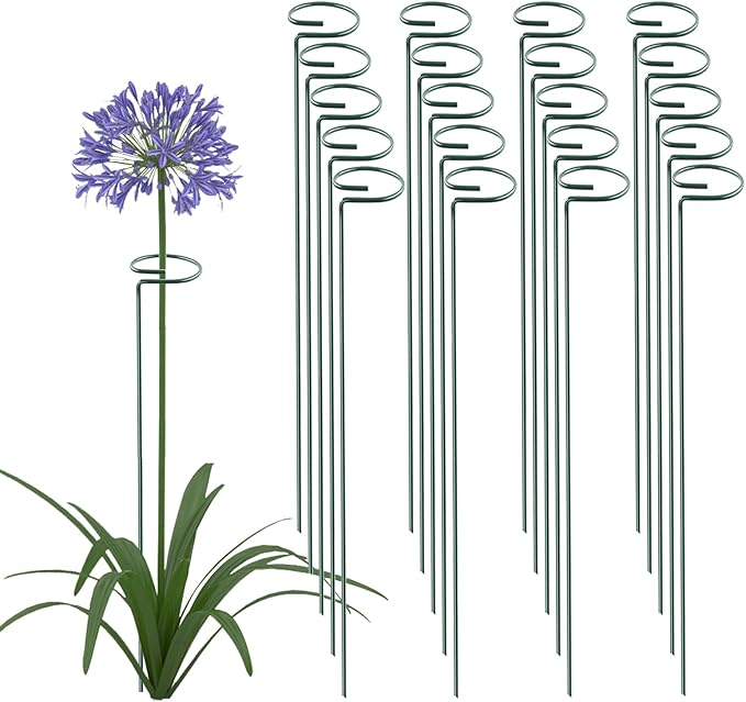 Thealyn 36 Inch 20 Packs Plant Support Stake Garden Single stemmed Plant Support Hoops Plant Prop for Flowers Orchid Tomatoes Peony Lily Rose Gladiolus (36 inch)