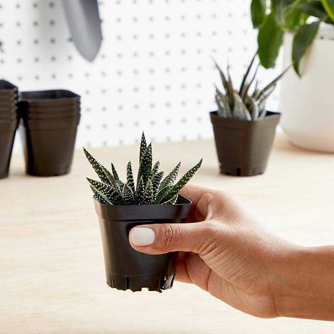 Juvale Square Nursery Pots - Seedling Planters with Drainage Holes - Versatile Pots for Plants & Succulents - Space-Saving Stackable Planters - 2.6 in, Pack of 150, Black