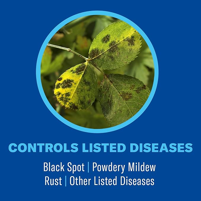 BioAdvanced 3 in 1 Insect, Disease & Plant Mite Control, Ready-to-Use, 24 fl oz