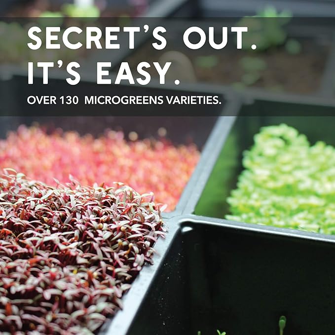 Slow Bolt Cilantro Herb Garden Seeds - 5 Lb ~200,00 seeds - Non-GMO Heirloom Slow Bolt Cilantro Herb Seeds (Coriander) - Outdoor Garden, Indoor Garden, Countertop Microgreens, Organic Micro Greens Kit