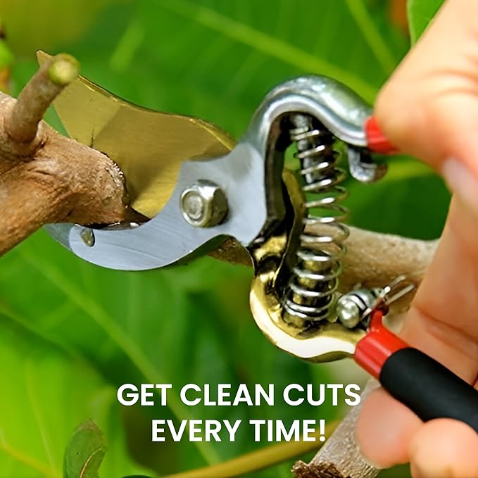 Garden Guru Indestructible Titanium Garden Clippers Professional Bypass Hand Pruner Pruning Shear with Comfort Grip Handles for Gardening Trimming and Yard Work Hardened Steel & Titanium Blade(2 Pack)