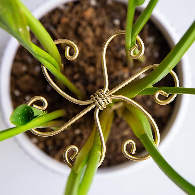 Goooxim 5Pcs Monstera Plant Stem Support Hook (2.75x2.75 inches) - Durable Metal Stem Support for Monstera & Fishbone Cactus, Easy Installation, Ideal Gift for Plant Lovers & Home Decor