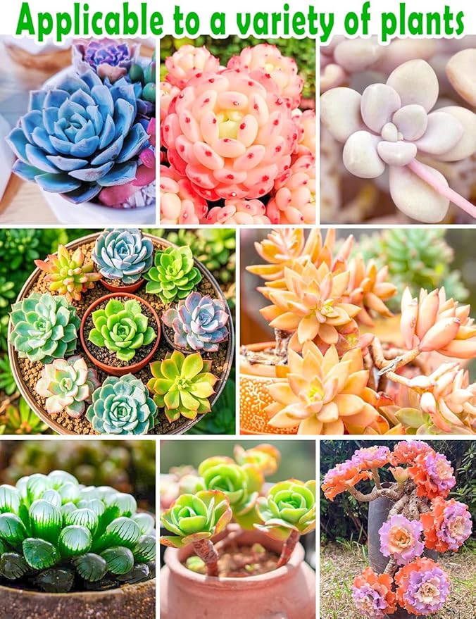 TOYPOPOR Succulent Soil, Cactus Potting Mix 3.75 Pounds/3QTS, High Drainage, Pre-Mixed Ready to Use for All Succulent Varieties, Indoor Plants, Bonsai, Terrarium, Houseplant, 30% Particles 70% Soil