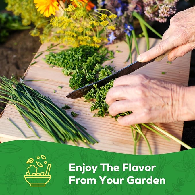 10 Herb Seeds Variety Pack - 7,000+ Heirloom Non-GMO Seeds - Basil, Cilantro, Lavender, Parsley, Dill, Thyme, Chives, Oregano, Sage, Herb Garden Kit for Planting Home Garden, Gardening Gift