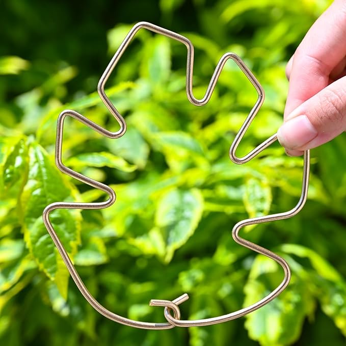 GOOOXIM 5.5 * 4.7IN Monstera Stem Support Stake with Clips - 5Pcs Durable Climbing Plant Support for Monstera, Fishbone Cactus, Easy Installation, for Plant Lovers