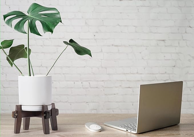 D'vine Dev Ceramic Planter with Wood Stand - 6 Inch Mid Century Modern Cylinder Plant Pot Set for Indoor Plants & Flowers, White, 55-A-Z-1