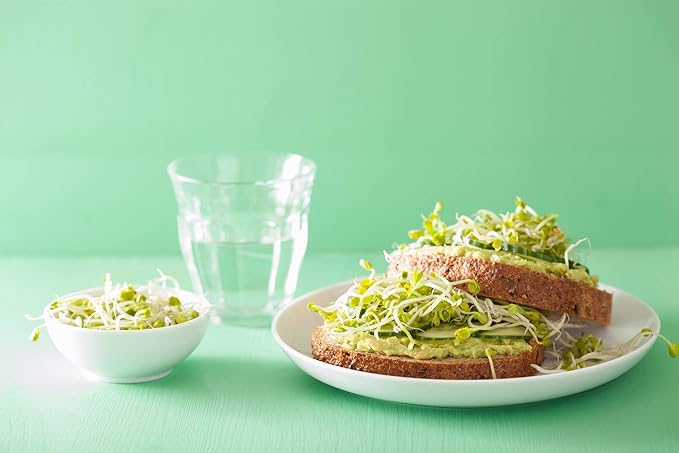 Food to Live - Organic Radish Seeds for Sprouting, 25 Pounds Non-GMO, Edible Seeds, Pure, Vegan, Kosher, Bulk. Spicy Flavor. Rich in Vitamin C. High Germitation Rate.