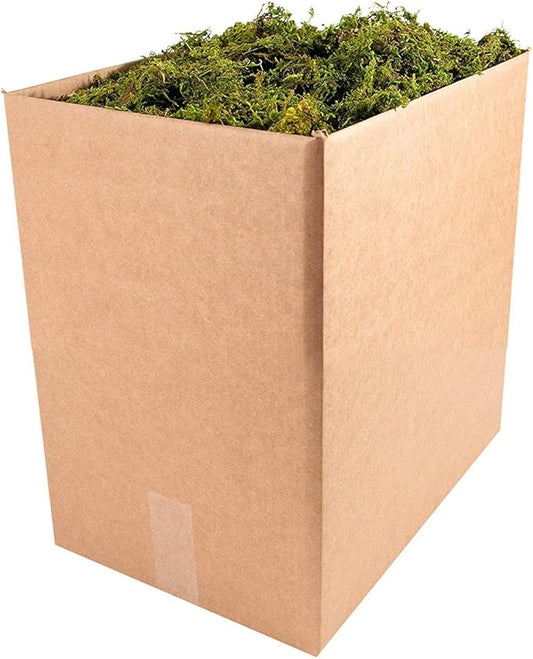 SuperMoss (21705 Forest Moss Dried, Natural, 5lbs