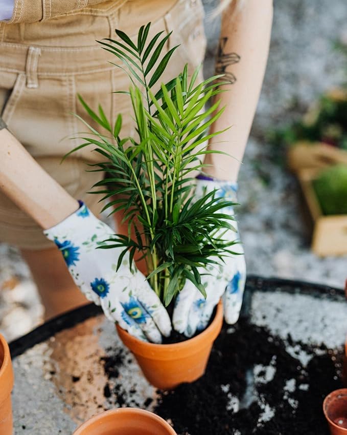 GARDENERA Palm Tree Potting Mix - The Ultimate Soil for Strong and Healthy Palms - Top Choice for Palm Tree Growers [1 Quart Bag]