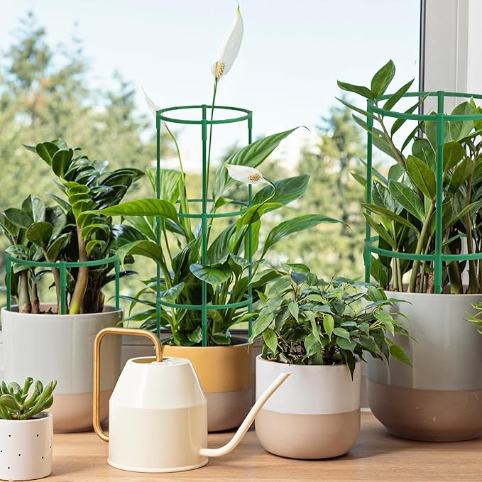 kulusion 36 Packs Plant Support Stake, Half Round Stackable 3 Tier Garden Flower Support, Plant Stakes for Indoor Outdoor Plants Tomato,Monstera, Peony, Hydrangea, Climbing Plants