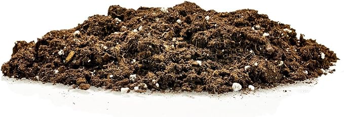 GARDENERA Money Tree Potting Soil Mix for Planting or Repotting Guiana Chestnut, Soil Blended to Properly Grow Money Tree Plants - (1 Quart Bag)
