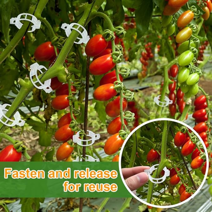 PEOUWNES 200 Pcs Plant Support Garden Clips, Tomato Clips, Crop Clips for Vine Vegetables, Fixing Tomato, Sweet Pepper, Eggplant, Makes Plants Grow Upright and Healthier