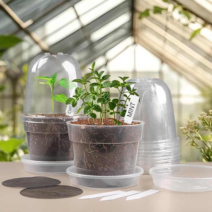 BTPLASTIK 6 Inch Clear Nursery Pots with Humidity Domes 15 Pack, Transparent Plastic Plant Pot with Drainage Holes and Saucers, Seed Starter Pots with 15 Pcs Plant Labels and 15 Pcs Soil Screens